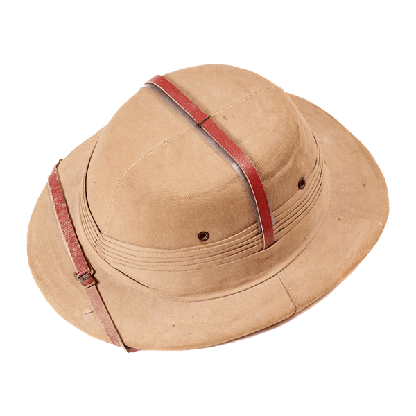 P11.png